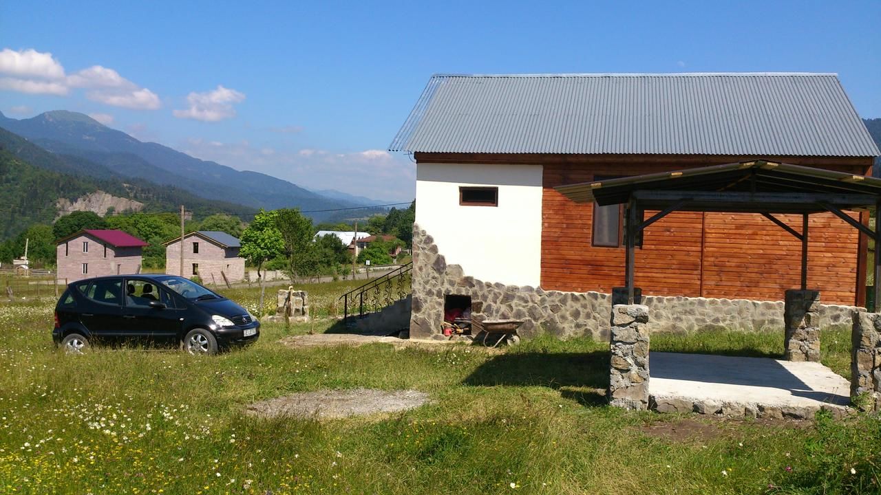 Дома для отпуска Borjomi Cottage Tsemi Tsemi-19